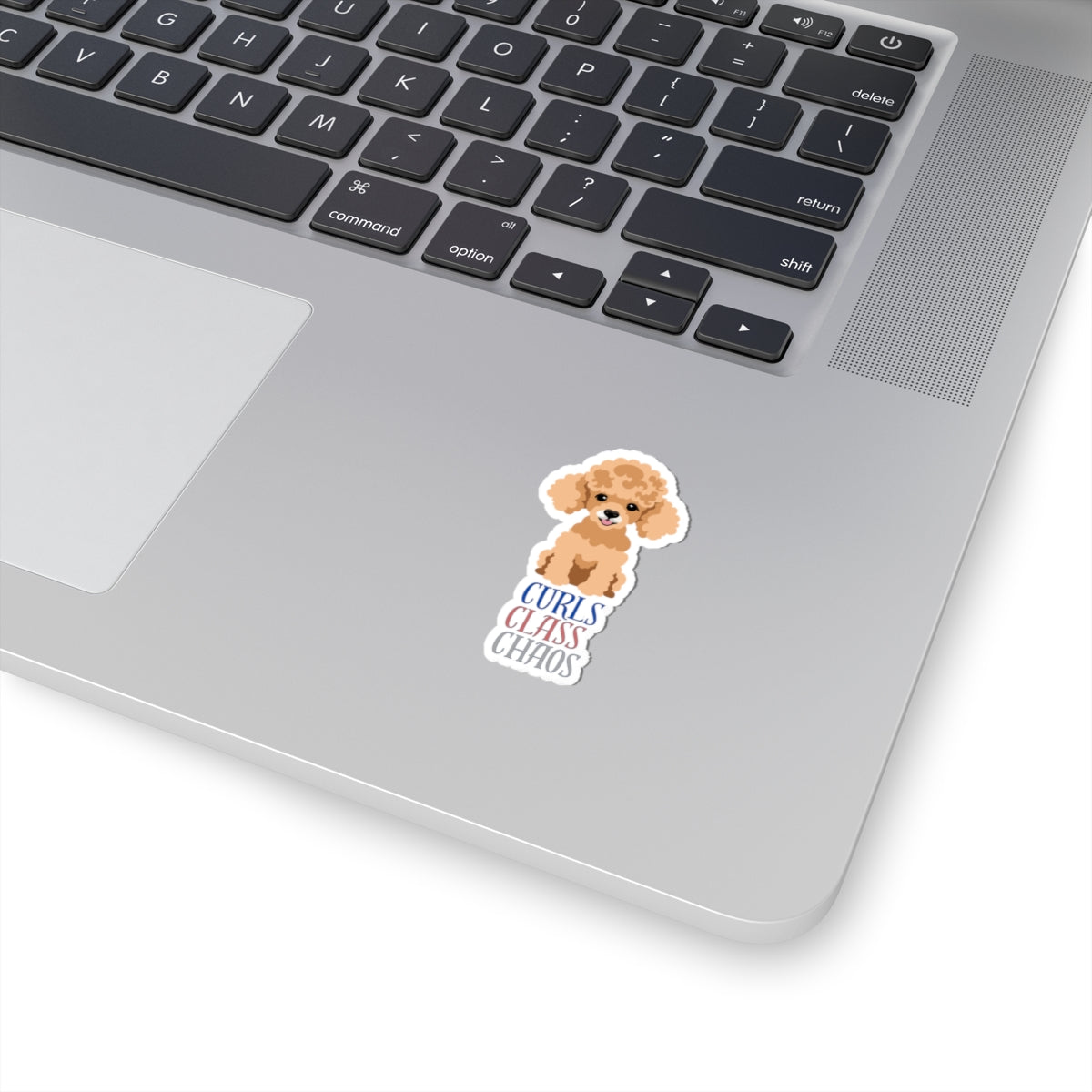 Kiss-cut sticker with Poodle graphic and curls class chaos slogan applied to laptop surface
